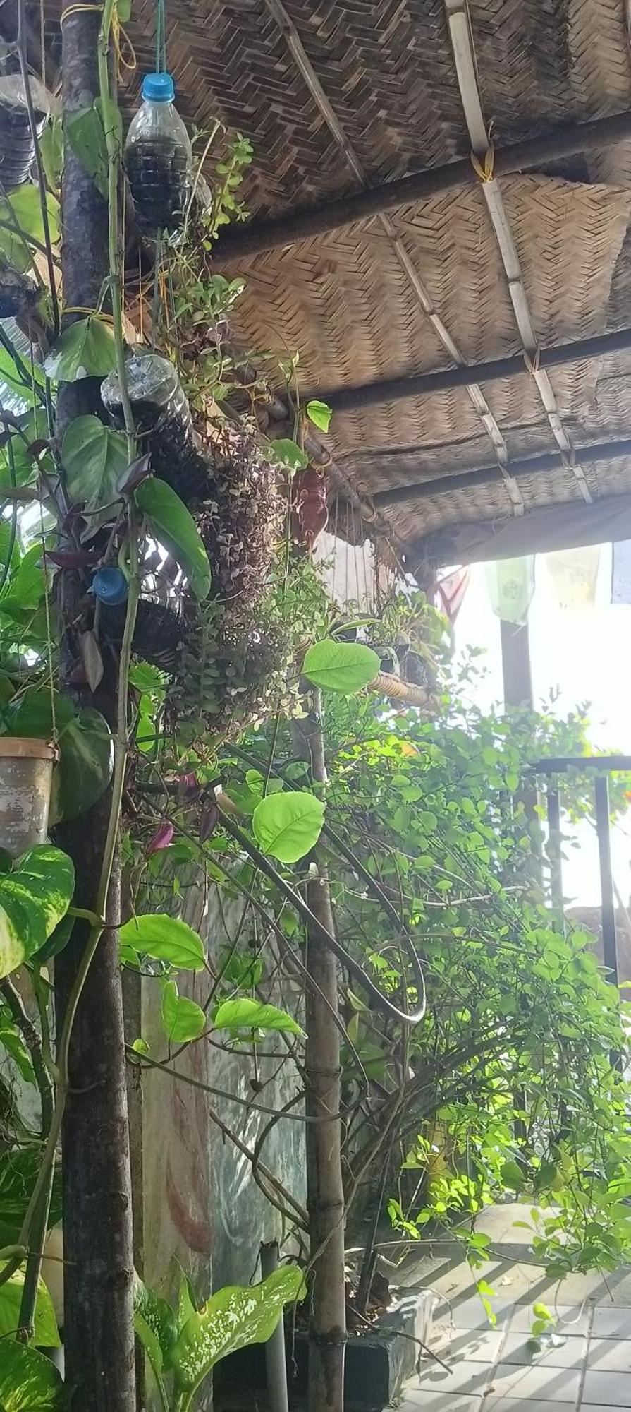 Peace And Love Stay Alappuzha Exterior foto